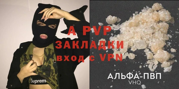 стаф Анива