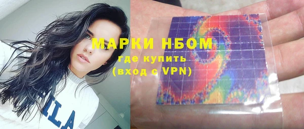 стаф Анива
